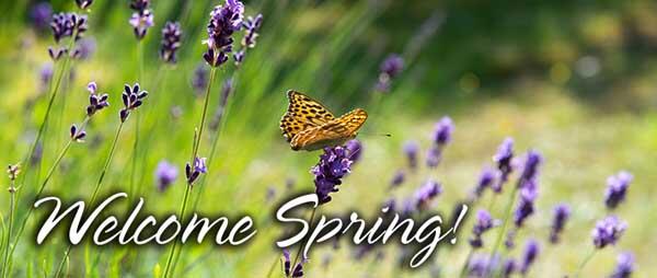 A butterfly sitting on a flower, with the words Welcome Spring.