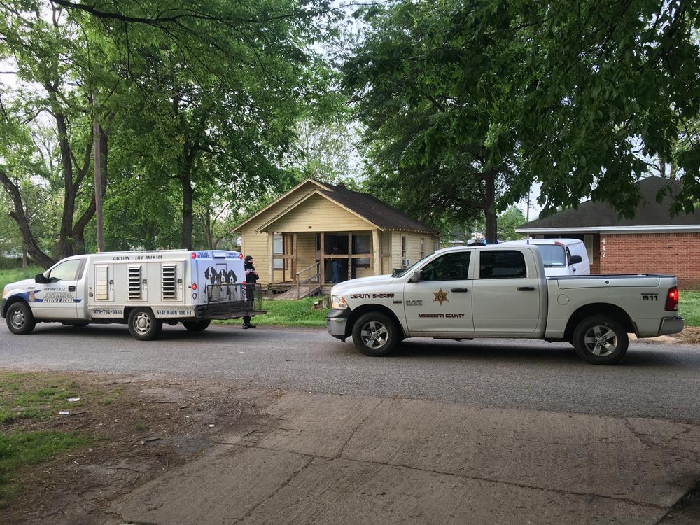 Image of police vehicles on Dougan Street. 