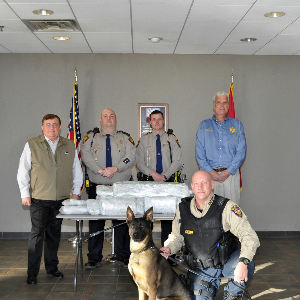 Sheriff Dale Cook with Marijuana Seizure