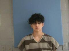 Mugshot of LADD, GAVIN BLAKE